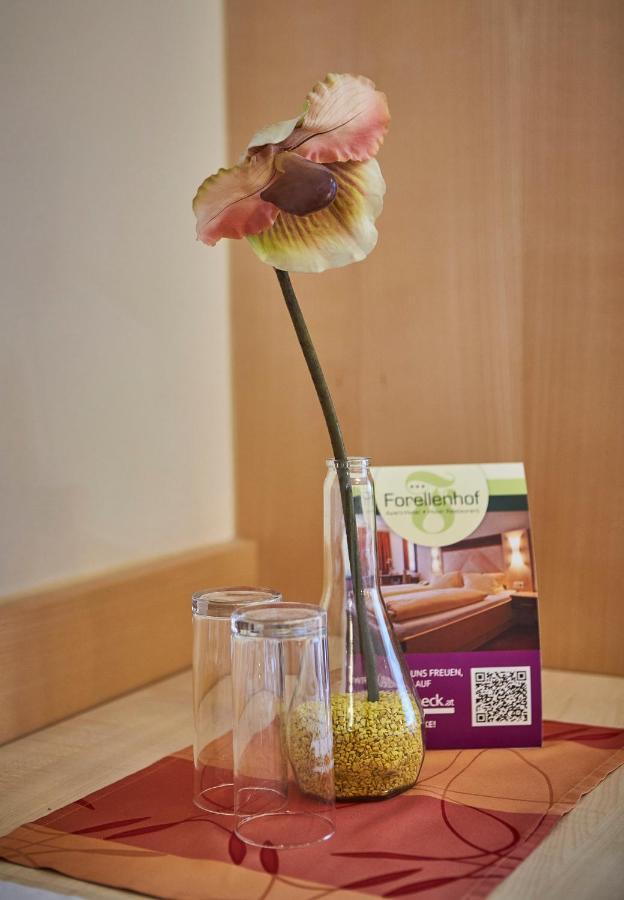 Apart-Hotel Forellenhof Saalbach-Hinterglemm Luaran gambar